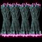 Pink Christmas String Lights, 50 LED 25 Feet ,Waterproof Pink Lights for Indoor